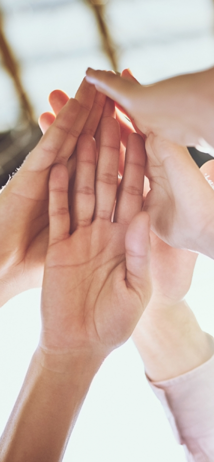 206552799_xl_normal_none (1)