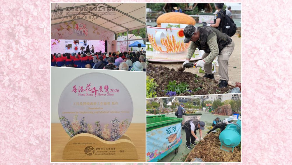 本頁圖片/檔案 - collage